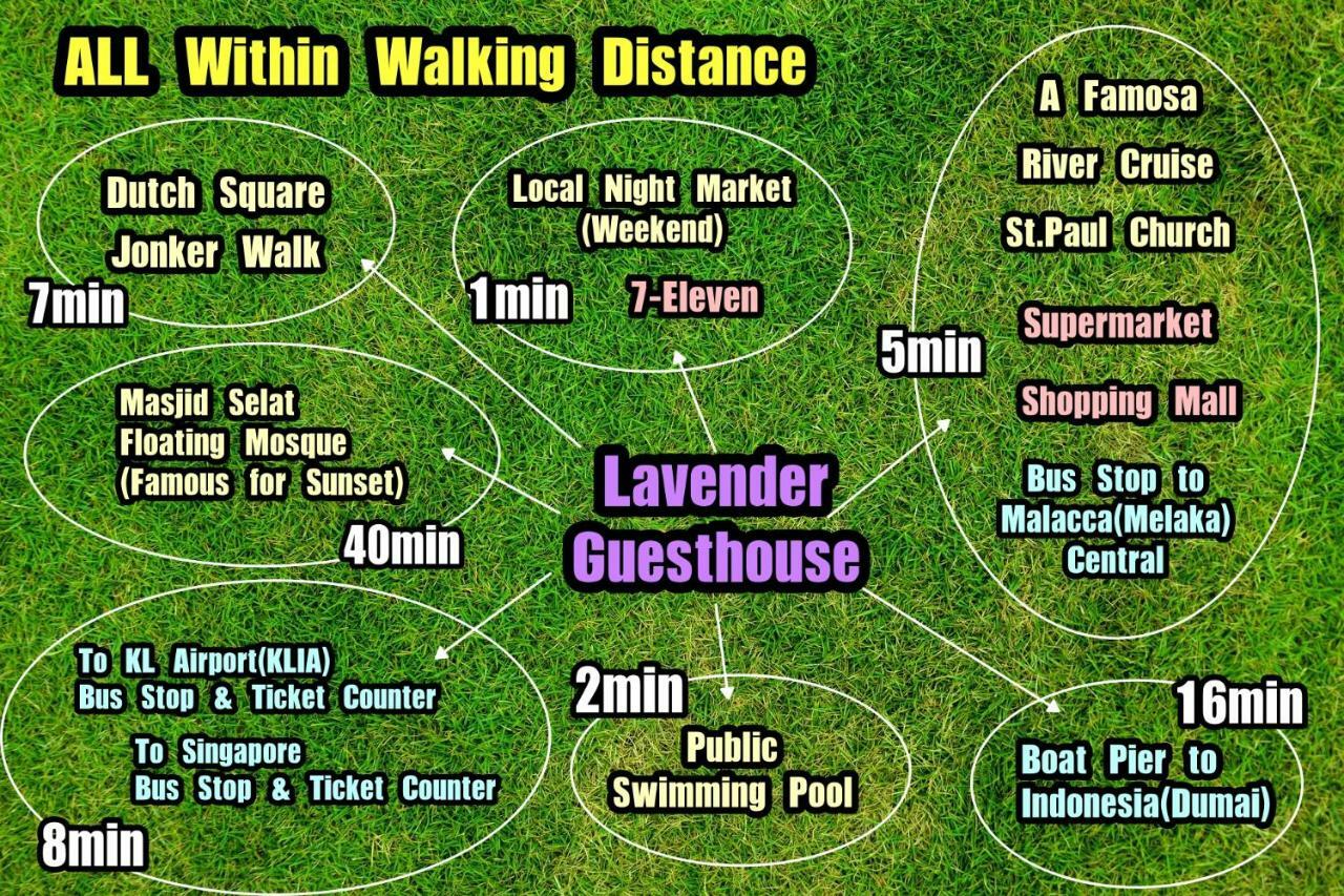 Lavender@guesthouse 2*